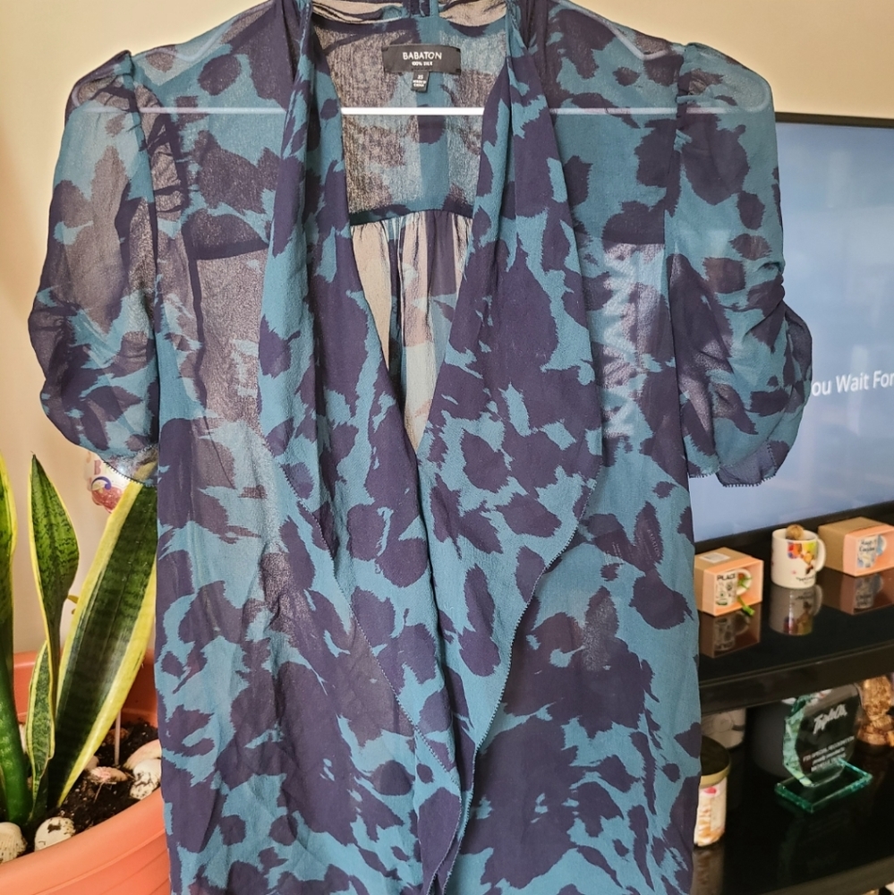 Babaton sheer blouse
